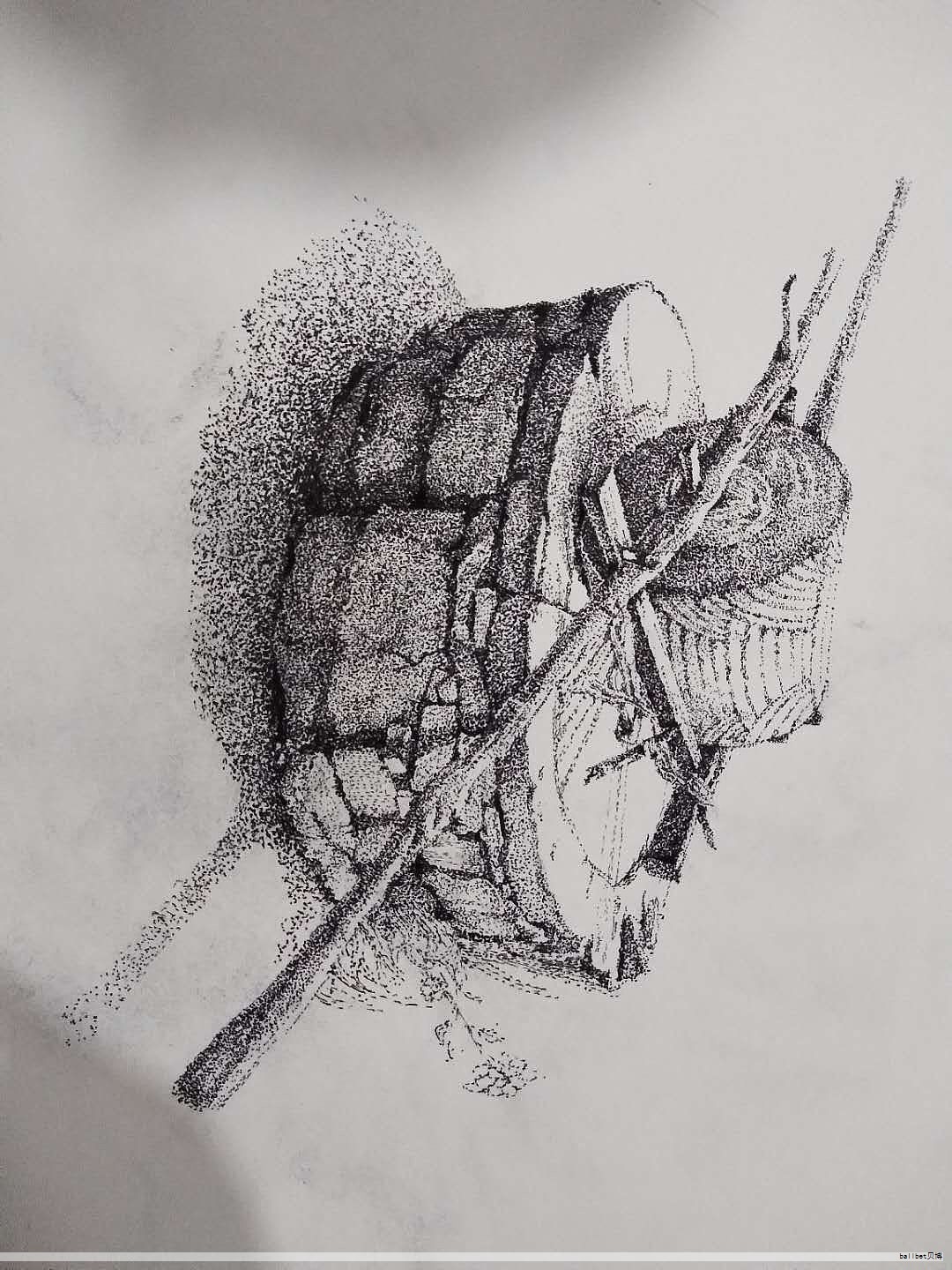 自动铅笔在校园中越来越常见，但在小学阶段，