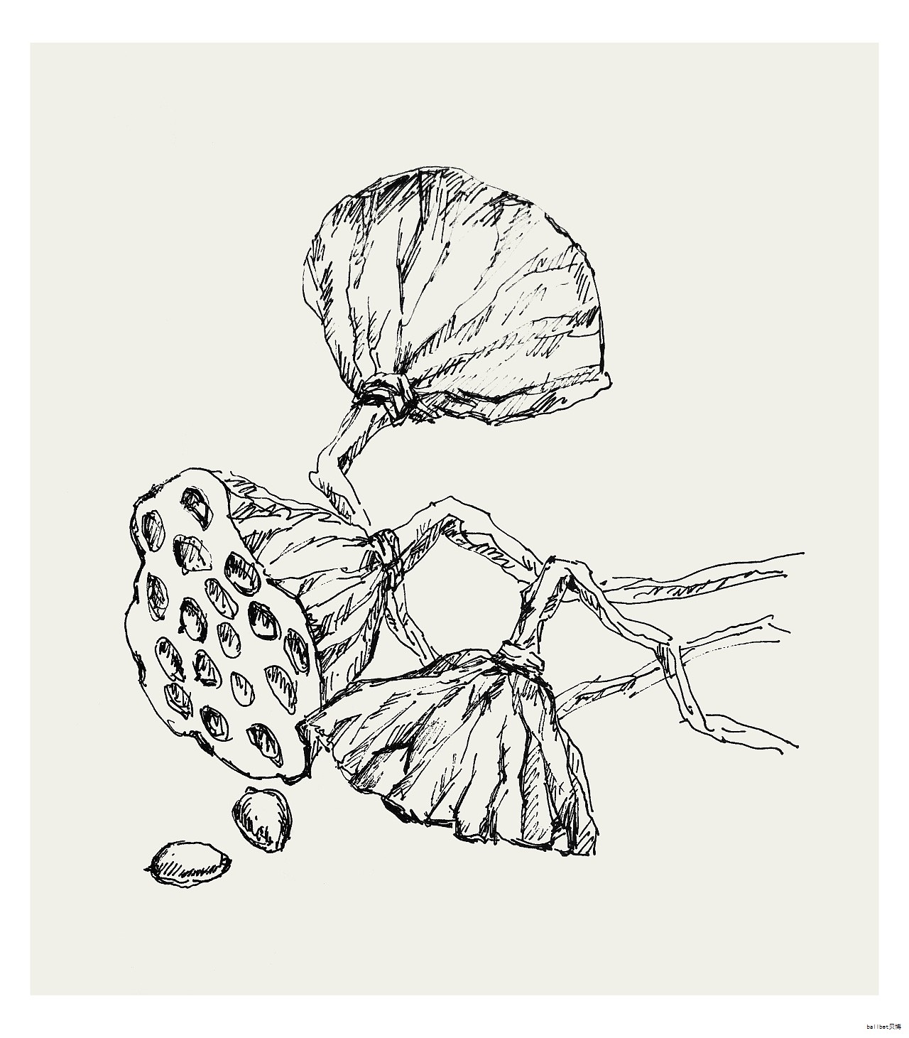 学生在书写和绘画时，常会把圆珠笔墨迹弄到衣物上，单用刷子等工具往往效果有限。其实医用酒精就能解决这个难题。原因在于圆珠笔墨水的化学成分以油性成分和可溶于醇的染料为主，属于有机物。医用酒精含有乙醇，乙醇与墨水的有机成分具有相似相溶的特性，因此可以把油墨中的油性物质溶解出来。此外，乙醇的溶解性和挥发性都较强，能加速油墨的分散和蒸发，提升清洁效果。