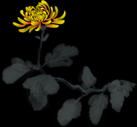 丰富广大职工的精神文化