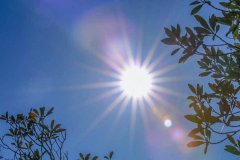 感受笔墨纸砚的奇妙