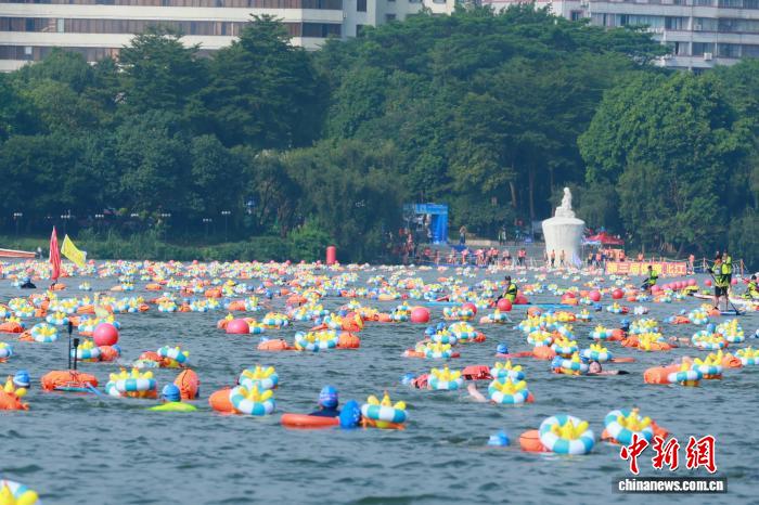 2025广东清城第三届横渡北江活动吸引2900名泳士参